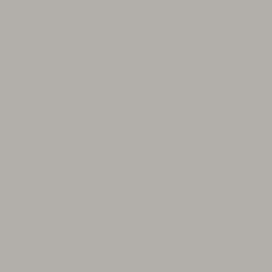 Ash Gray 26G